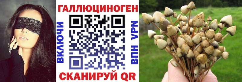 Галлюциногенные грибы MAGIC MUSHROOMS  Полевской 